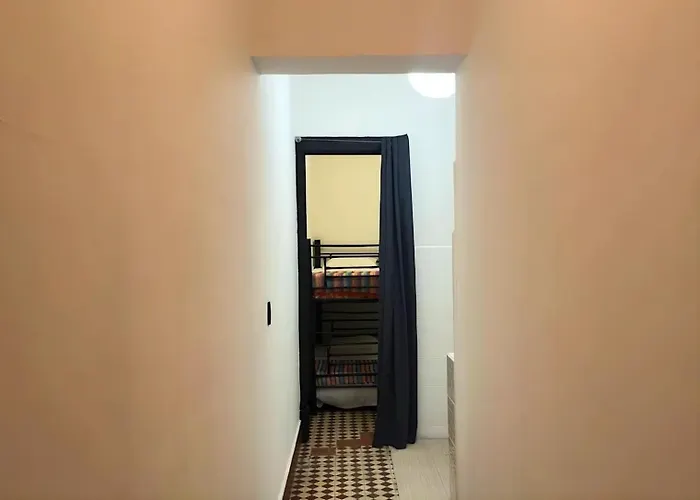 Massiosare El